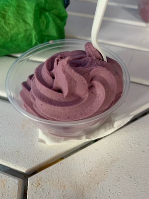   at CJ's Big Dipper in Bar Harbor