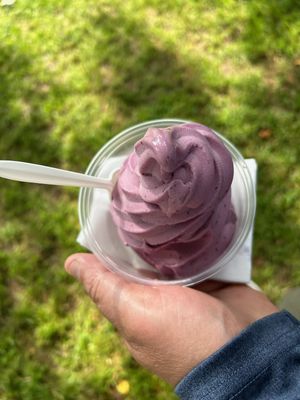 almond milk blueberry swirl 🫐   at CJ's Big Dipper in Bar Harbor