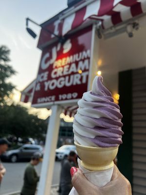 Blueberry and vanilla vegan swirl  at CJ's Big Dipper in Bar Harbor