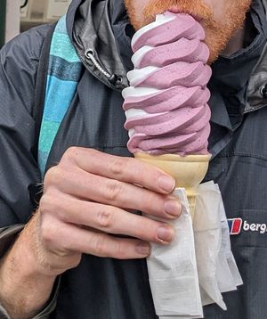 Dairy free blueberry and vanilla soft serve at CJ's Big Dipper in Bar Harbor