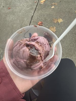 Blackberry fudge  at CJ's Big Dipper in Bar Harbor