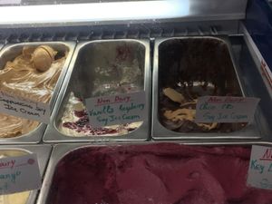 Nondairy soy ice creams 6/6/18 at CJ's Big Dipper in Bar Harbor