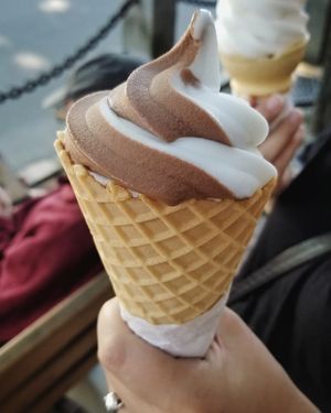 Twist soft serve vegan at CJ's Big Dipper in Bar Harbor