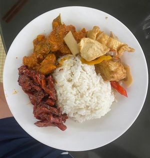 Mock meats with rice from the buffet. at Blue Boy Vegetarian Food Centre in Kuala Lumpur