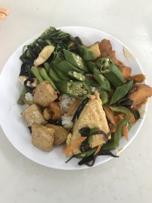 Stuffed our plate and it still was ridiculously cheap  at Blue Boy Vegetarian Food Centre in Kuala Lumpur