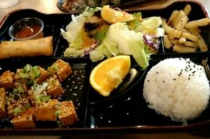 Sesame Tofu Bento Box at Domo Cafe in Fort Walton Beach