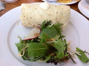 Vegan burrito at The Blue Bird Vegetarian Cafe in Auckland