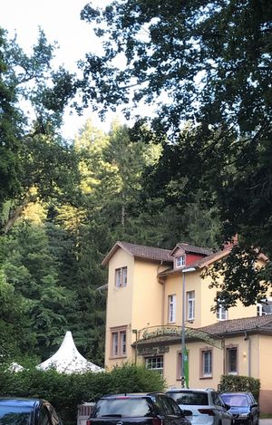 Arriving at Waldsee, Freiburg at Waldsee in Freiburg