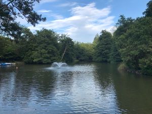 View from the terrace @ Waldsee, Freiburg at Waldsee in Freiburg