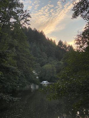 Strolling around the lake @ Waldsee, Freiburg at Waldsee in Freiburg