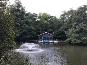 Strolling around the lake @ Waldsee, Freiburg at Waldsee in Freiburg