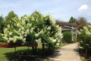Entrance - The Restaurant at Patowmack Farm at The Restaurant at Patowmack Farm in Lovettsville