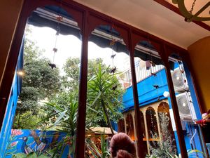  at Veg World India in Barcelona