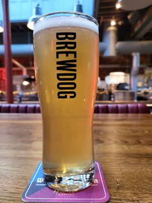 Pint at BrewDog in Manchester