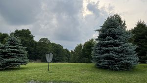   at MoonShadow in Mchenry