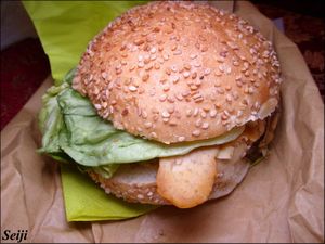 Vegan burger at 100% Bio in Rome
