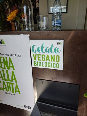 Reparto gelateria vegana at 100% Bio in Rome