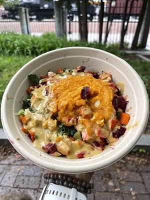 Rainbow Harvest bowl (very garlicky)  at Life Alive Organic Cafe in Lowell