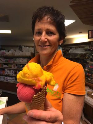 Organic ice-cream and vegan sorbets at biochi from a local farmer near Schladming. at Biochi in Schladming