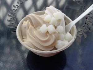 salted caramel and peanut butter with mochi at Yoga-urt in Glendale