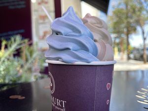   at Yoga-urt in Glendale