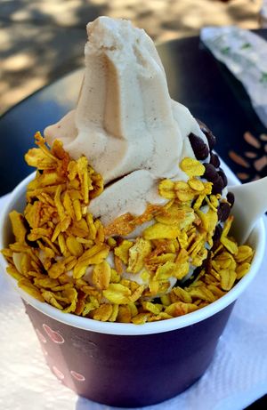 tumeric granola on vanilla at Yoga-urt in Glendale