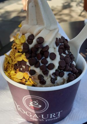 choc chip on vanilla at Yoga-urt in Glendale