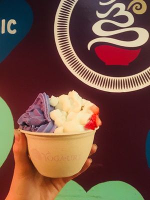 vegan soft serve at Yoga-urt in Glendale