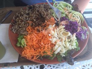 rice and raw veg meal at Granny Smith in Annecy