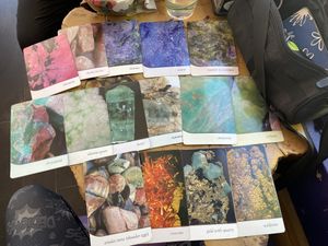   at Thrive in Boulder