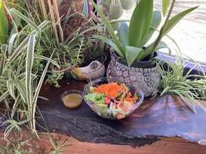 House salad at Thrive in Boulder