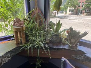 Vibe Decor  at Thrive in Boulder