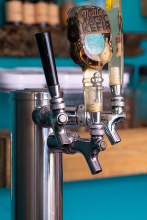 Kombucha, Kefir and Ginger Beer on Tap at Thrive in Boulder