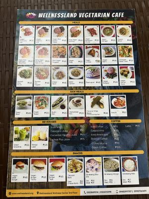 Menu as of 27/12/23  at Wellnessland Vegetarian Cafe in Cebu