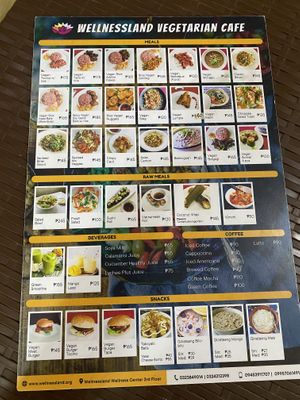 Menu  at Wellnessland Vegetarian Cafe in Cebu