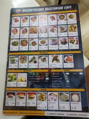 Menu at Wellnessland Vegetarian Cafe in Cebu