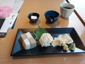 Hier sind alle veganen Tofu Optionen zu sehen. at Kyotofu Fujino in Kyoto