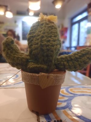 Knitted cactus friend! at Ma va' in Rome