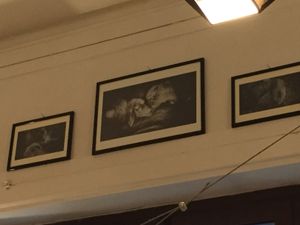 Beautiful pictures  at Ma va' in Rome