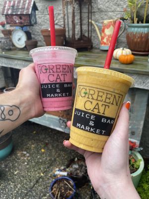 my pumpkin spice smoothie 🧡 at The Green Cat in Virginia Beach