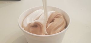  at The Green Cat in Virginia Beach