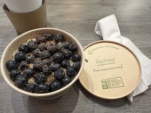   at The Green Cat in Virginia Beach