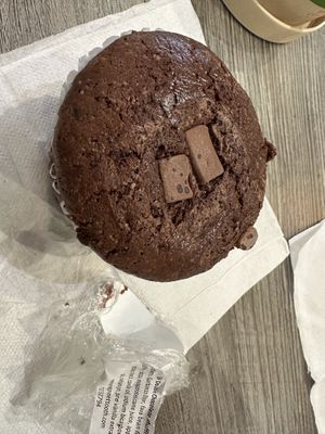   at The Green Cat in Virginia Beach