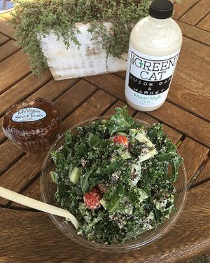 Delish! at The Green Cat in Virginia Beach