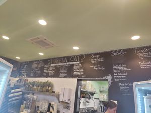  at The Green Cat in Virginia Beach