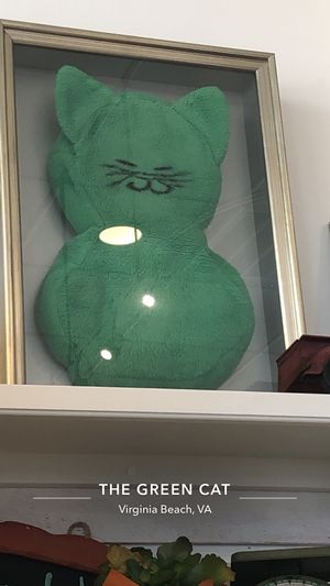Love the pillow  at The Green Cat in Virginia Beach