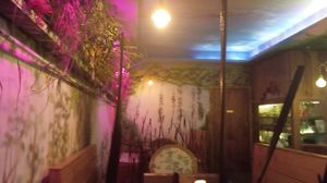  at Verdeando in Denia