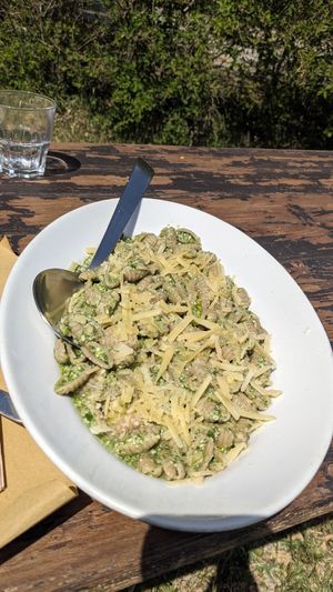 Gnocchetti di farro con bieta, tofu e formaggio vegano at Podere Capanne in Rome