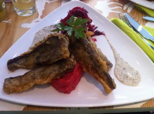 'Vischvilet mit Kartoffelstampf und Rote Beete Salat' at Marichen at Marichen in Muenster