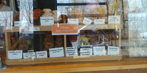 Donut selection: everything is vegan unless otherwise noted at Vortex Doughnuts in Asheville